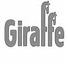 Corporate Training courses Giraffe
